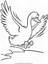 animales/pajaros/duck.JPG