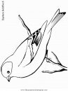animales/pajaros/easterngoldfinch.JPG