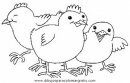 animales/pajaros/gif0ffa.JPG