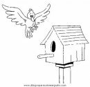 animales/pajaros/gif274d.JPG