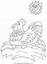 animales/pajaros/hen3.JPG
