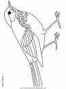 animales/pajaros/hermitthrush.JPG