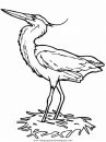 animales/pajaros/heron.JPG