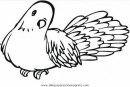 animales/pajaros/paloma_palomas_4.JPG