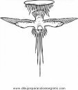 animales/pajaros/paz_10.JPG