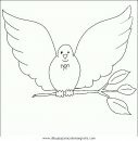 animales/pajaros/paz_11.JPG