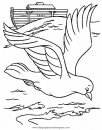 animales/pajaros/paz_4.JPG