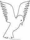 animales/pajaros/paz_5.JPG