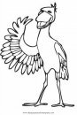 animales/pajaros/pelicano_0.JPG