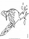 animales/pajaros/roadrunner.JPG