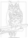 animales/pajaros/uccelli_027.JPG