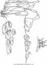 animales/pajaros/uccelli_028.JPG