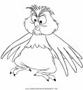 animales/pajaros/uccelli_029.JPG