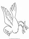 animales/pajaros/uccelli_03.JPG