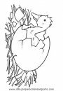 animales/pajaros/uccelli_030.JPG
