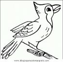 animales/pajaros/uccelli_039.JPG