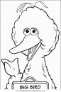 animales/pajaros/uccelli_041.JPG