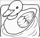 animales/pajaros/uccelli_048.JPG