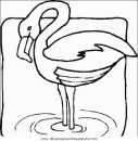 animales/pajaros/uccelli_050.JPG