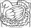animales/pajaros/uccelli_051.JPG