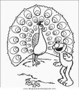 animales/pajaros/uccelli_057.JPG