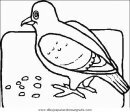 animales/pajaros/uccelli_061.JPG