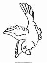 animales/pajaros/uccelli_09.JPG