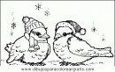 animales/pajaros/uccelli_092.JPG