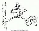 animales/pajaros/uccelli_095.JPG