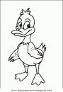 animales/pajaros/uccelli_113.JPG