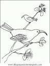 animales/pajaros/uccelli_120.JPG
