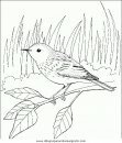 animales/pajaros/uccelli_135.JPG