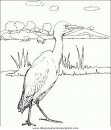 animales/pajaros/uccelli_137.JPG