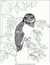 animales/pajaros/uccelli_142.JPG