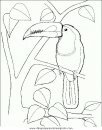 animales/pajaros/uccelli_144.JPG