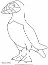 animales/pajaros/uccelli_15.JPG