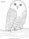animales/pajaros/uccelli_16.JPG