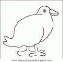animales/pajaros/uccelli_160.JPG