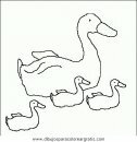 animales/pajaros/uccelli_161.JPG