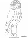 animales/pajaros/uccelli_17.JPG