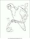 animales/pajaros/uccelli_172.JPG
