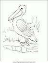 animales/pajaros/uccelli_173.JPG