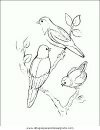 animales/pajaros/uccelli_176.JPG