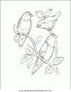 animales/pajaros/uccelli_178.JPG