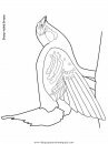 animales/pajaros/uccelli_18.JPG