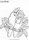 animales/pajaros/uccelli_21.JPG