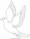 animales/pajaros/uccelli_235.JPG