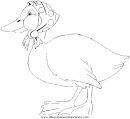 animales/pajaros/uccelli_236.JPG