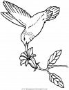 animales/pajaros/uccelli_239.JPG