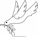 animales/pajaros/uccelli_247.JPG